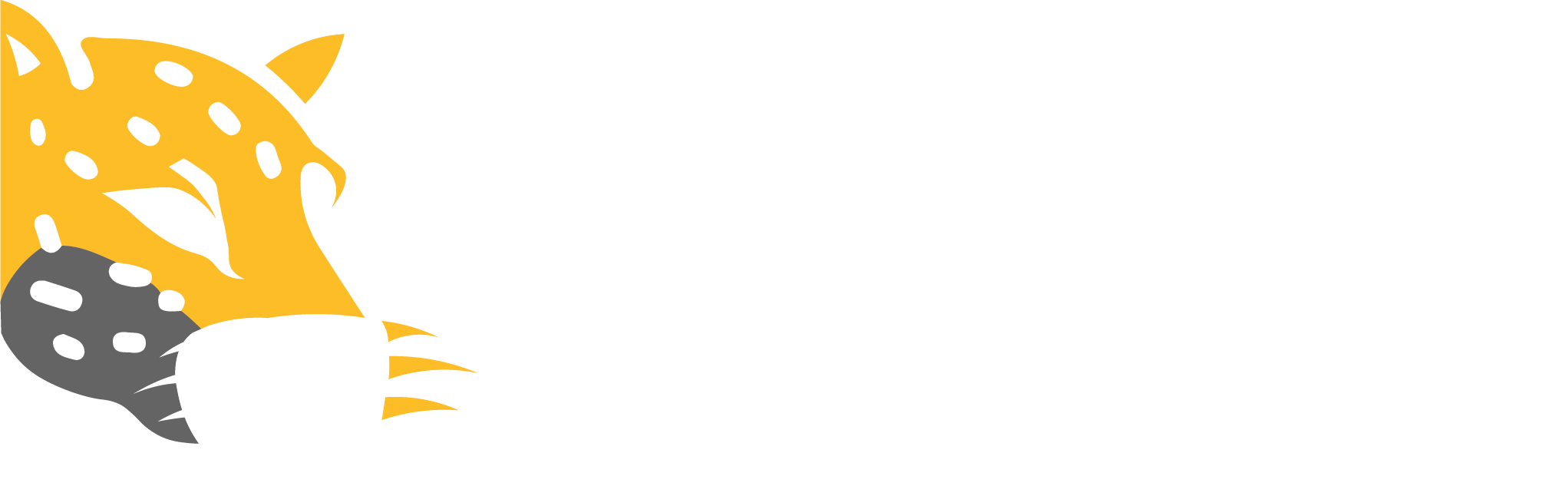 Partido Missão